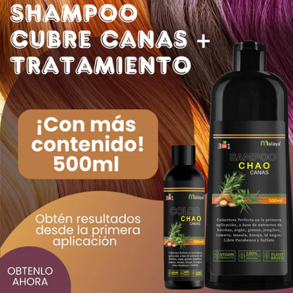 Shampoo Cubre Canas y Tratamiento Activador + Obsequio